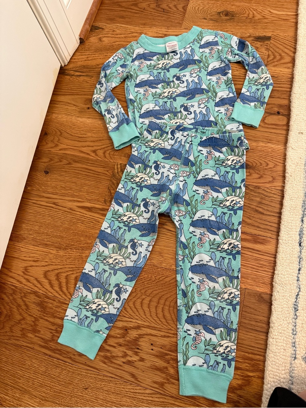 Hanna Andersson Long Sleeve Under the Sea Pajama Set Size 3T 90cm